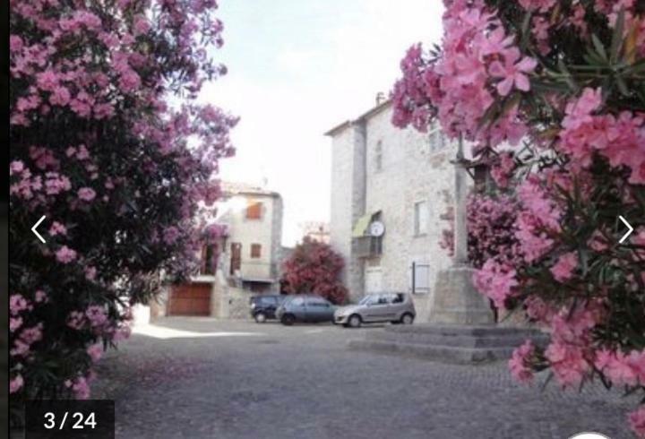 Ruoms Petite Maison 3* Centre-Village Εξωτερικό φωτογραφία